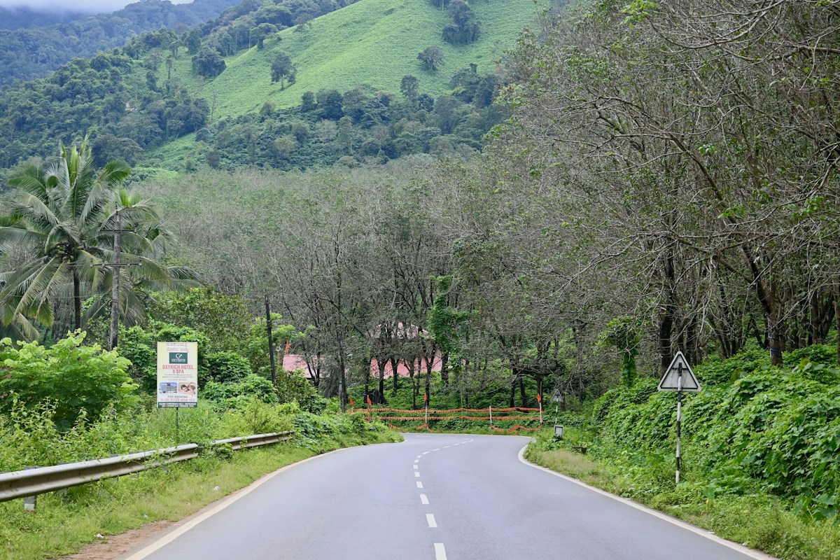 Aimless Wandering journey inspiration