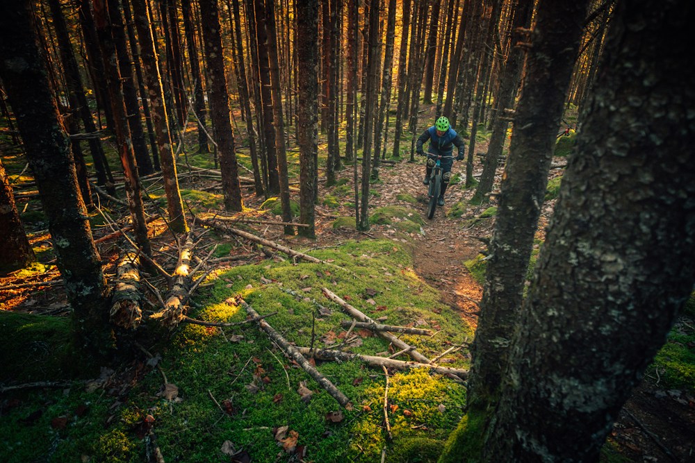 Biking journey inspiration