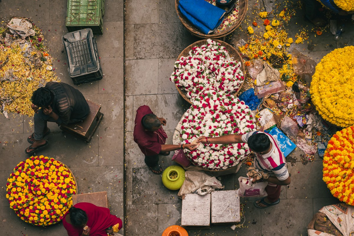 Culture journey inspiration