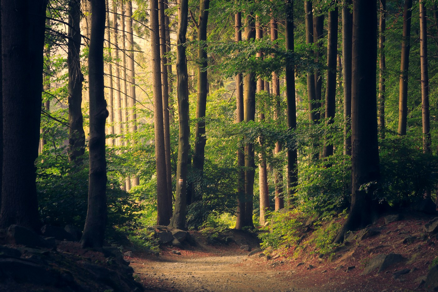 Ayurvedic journey inspiration